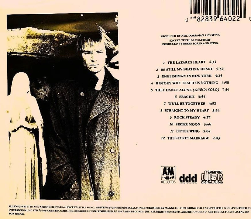 ⭐Sprzedam Wspaniały Kultowy Album CD Sting Nothing Like The Sun, Szczecin — 2/12
